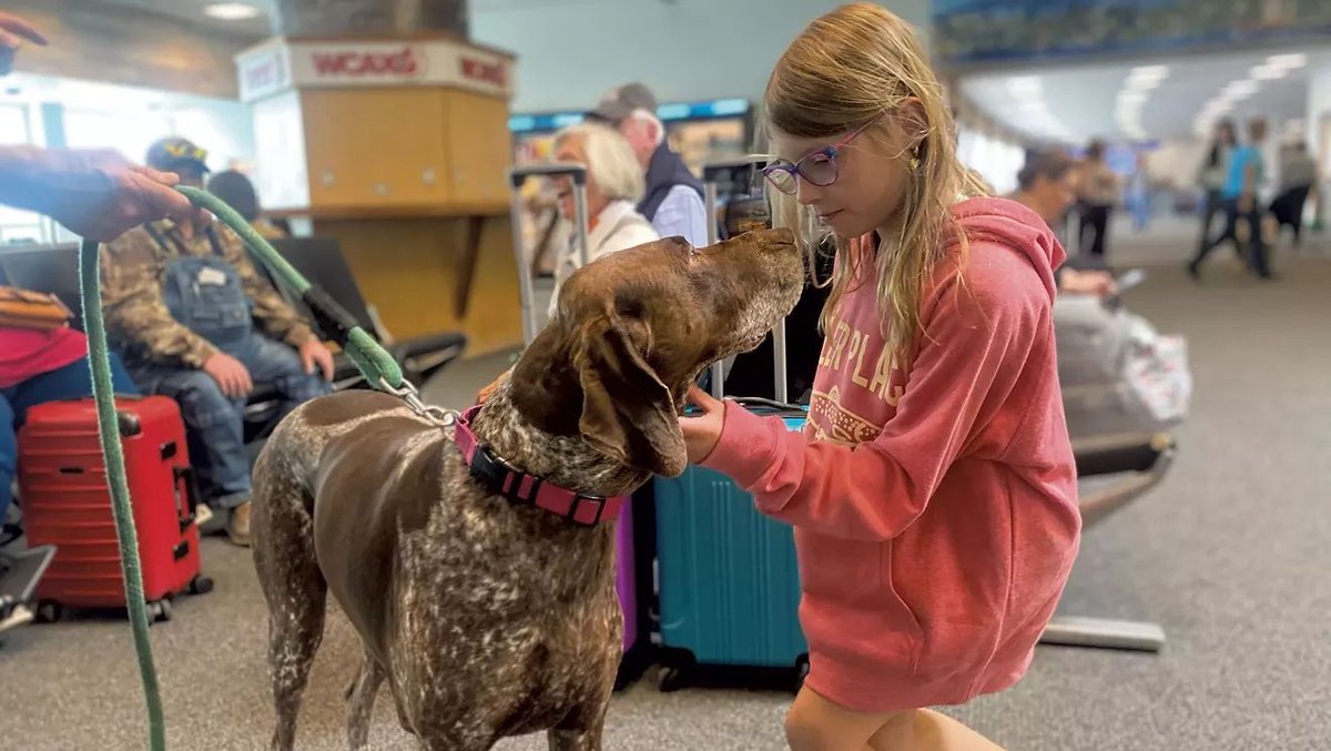 Nervous about that flight to Newark from Patrick Leahy Burlington International Airport?

Have no fear — Ellie Mae is here. The 8-year-old dog, a spotted German shorthaired pointer, has a part-time gig providing emotional support at BTV: buff.ly/ERZhGoC