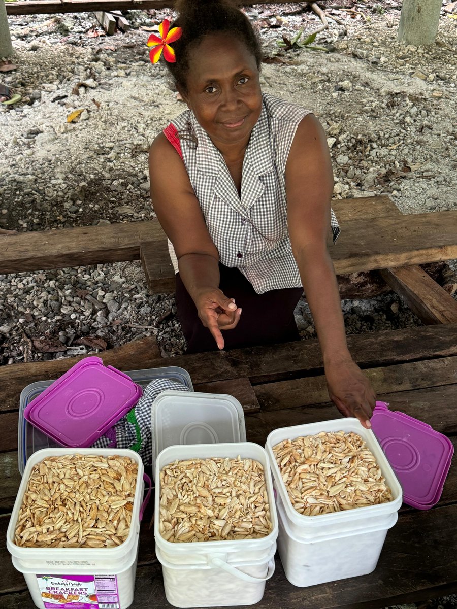 UNDP Solomon Islands tweet media
