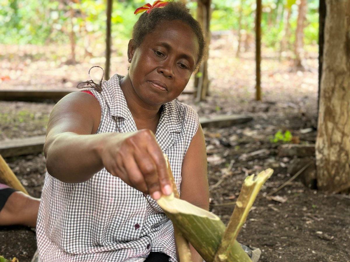 UNDP Solomon Islands (@undp_solomons) on Twitter photo 🌊 On #WorldOceansDay, meet the Ofu community in North Malaita 🇸🇧 leading <a href="/GEF_SGP/">Small Grants Programme</a> Bita’ama Biodiversity Project—replanting forests, protecting marine life & reviving cultural pride. 🌴🐠🌺 A true Pacific story of ridge-to-reef resilience!
🔗go.undp.org/Uh8 🌊 On #WorldOceansDay, meet the Ofu community in North Malaita 🇸🇧 leading <a href="/GEF_SGP/">Small Grants Programme</a> Bita’ama Biodiversity Project—replanting forests, protecting marine life & reviving cultural pride. 🌴🐠🌺 A true Pacific story of ridge-to-reef resilience!
🔗go.undp.org/Uh8