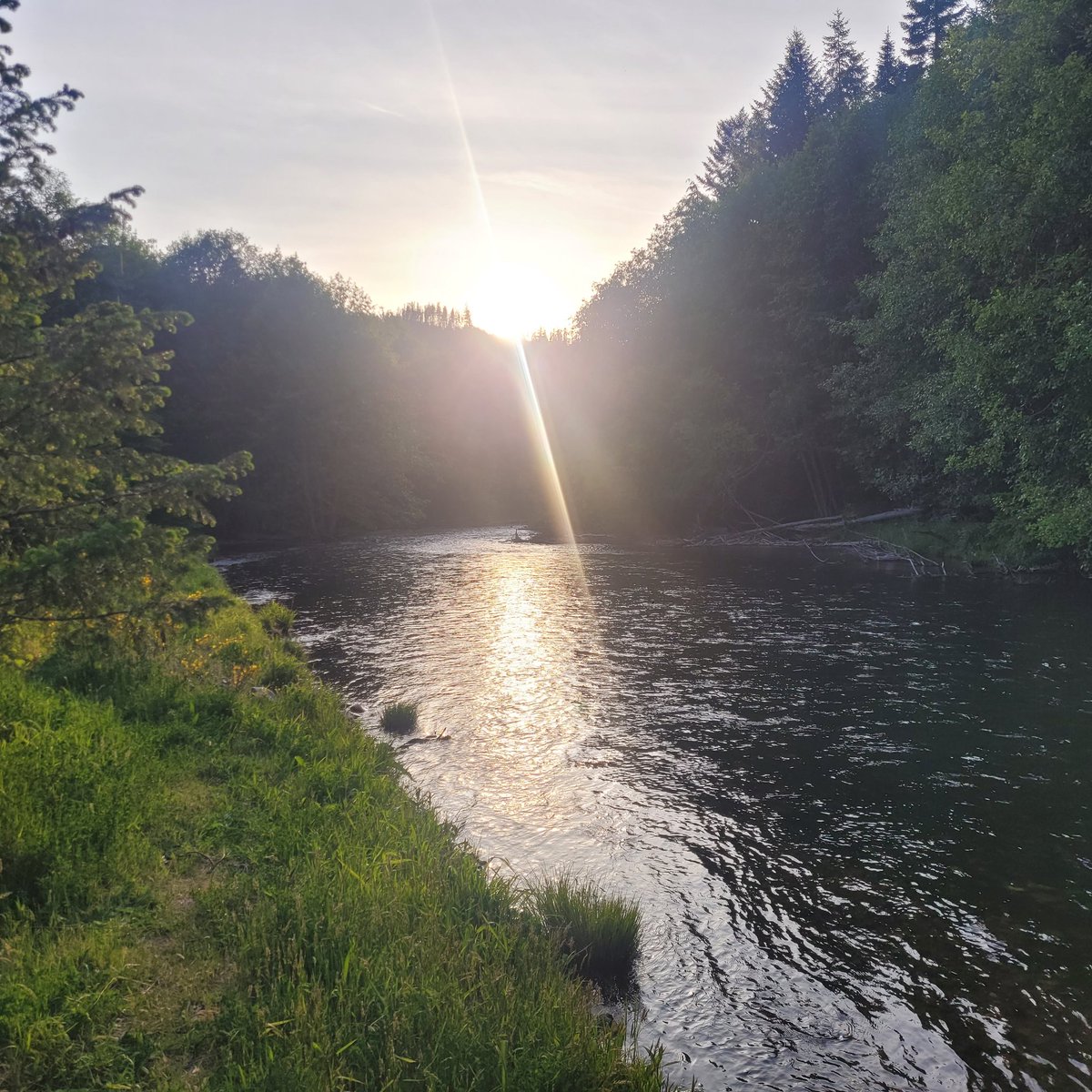 0ddite (@odditeg) on Twitter photo 