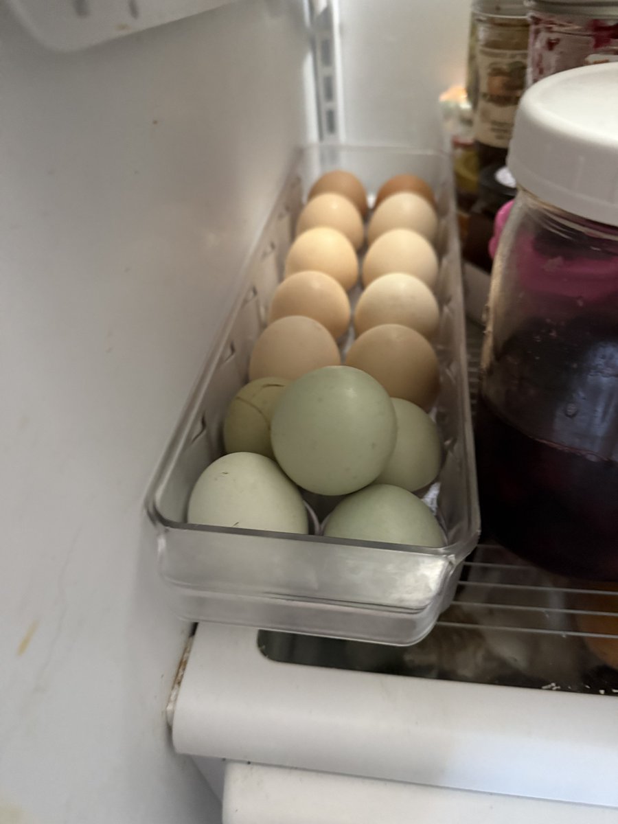 nah why we got green eggs