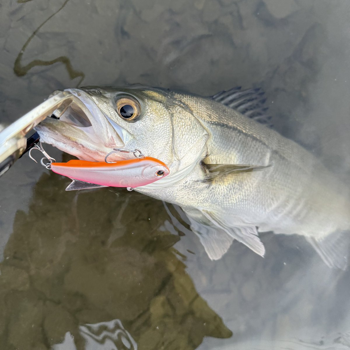 ヤマカワ様コメント用 槌屋ヤック株式会社