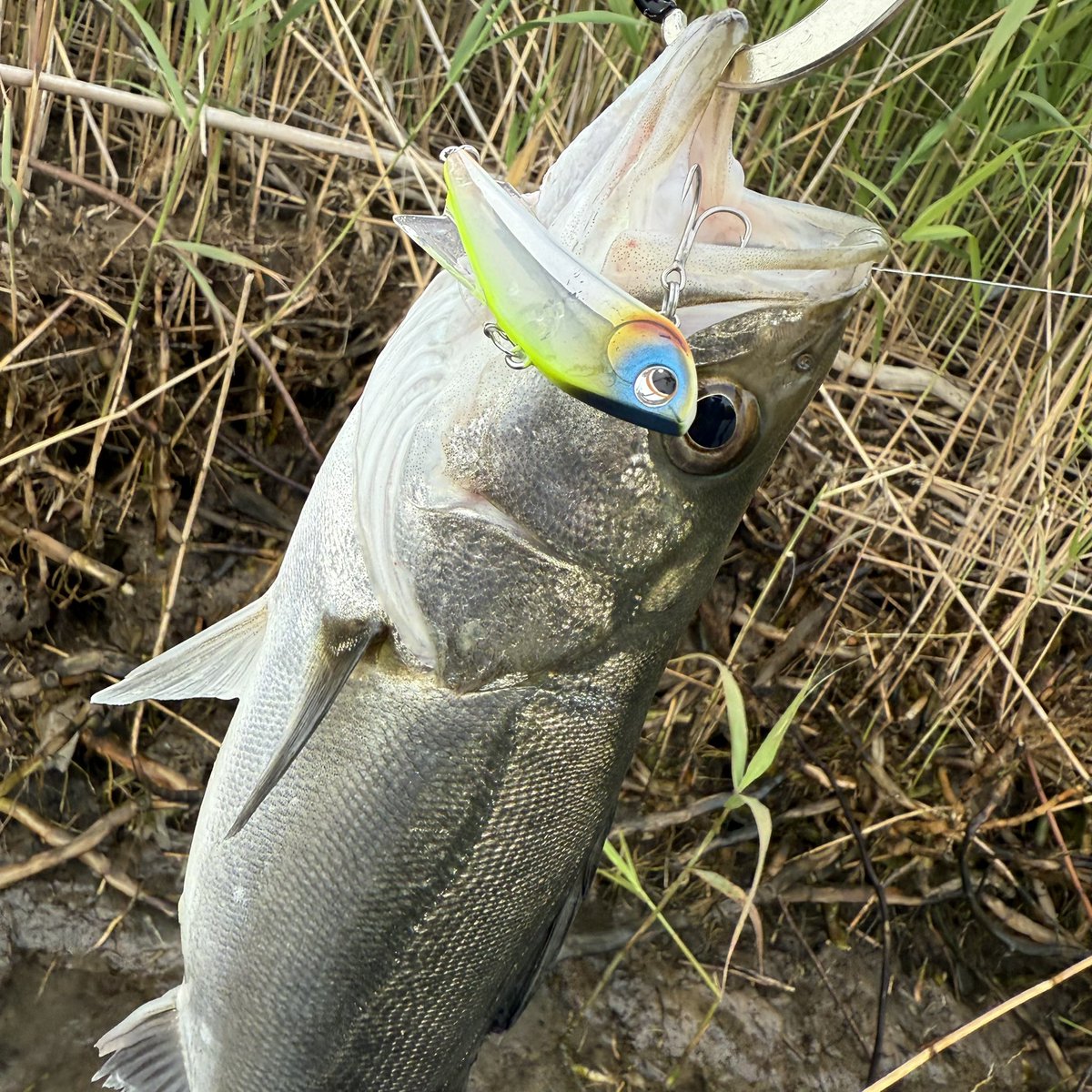 ヤマカワ様コメント用 槌屋ヤック株式会社