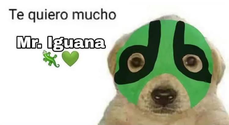 RubSataray's tweet photo. @luchalibreaaa @MrIguana https://t.co/wNeXRfnaKb