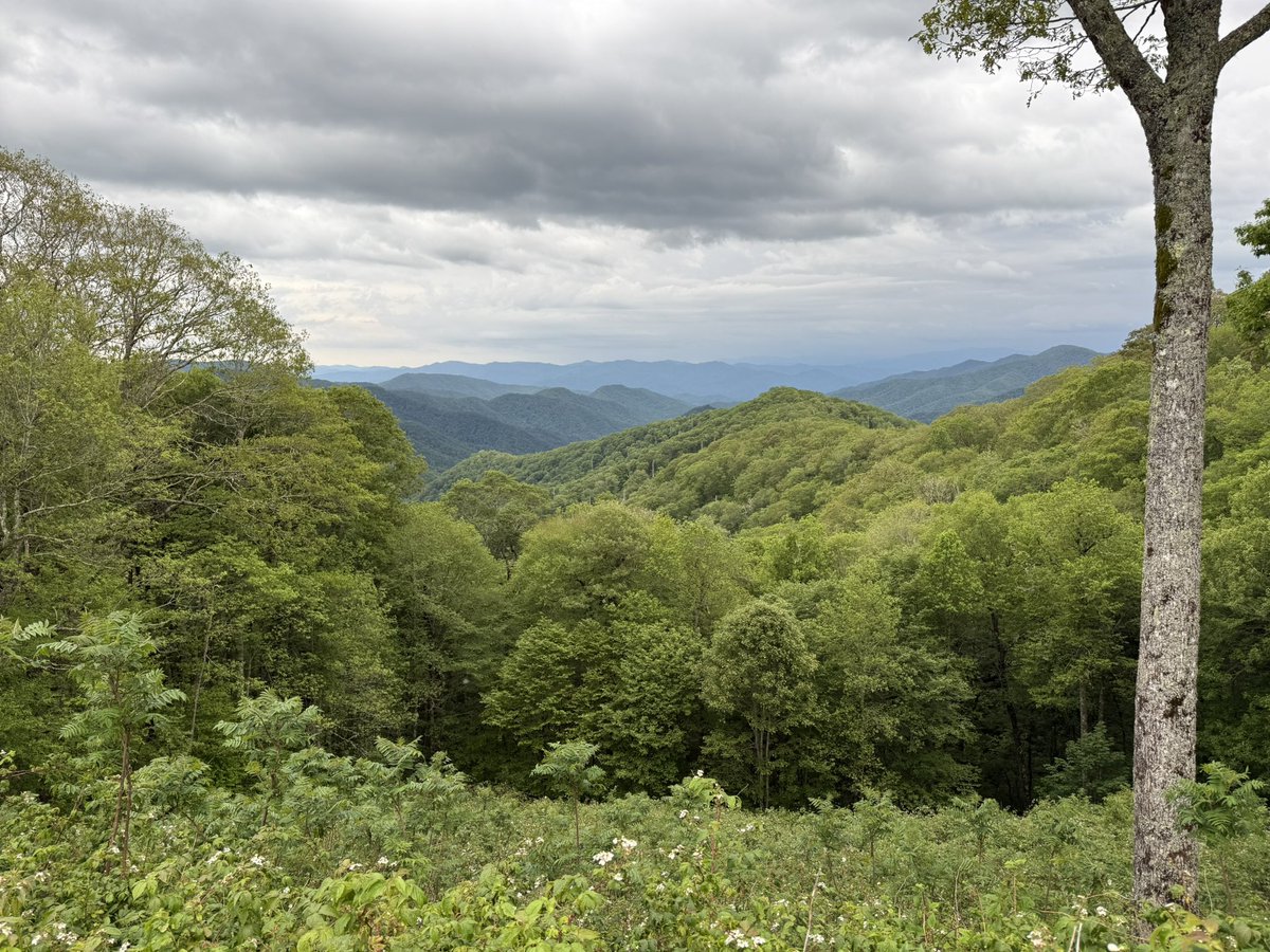 MOUNTAINS 
so pretty....