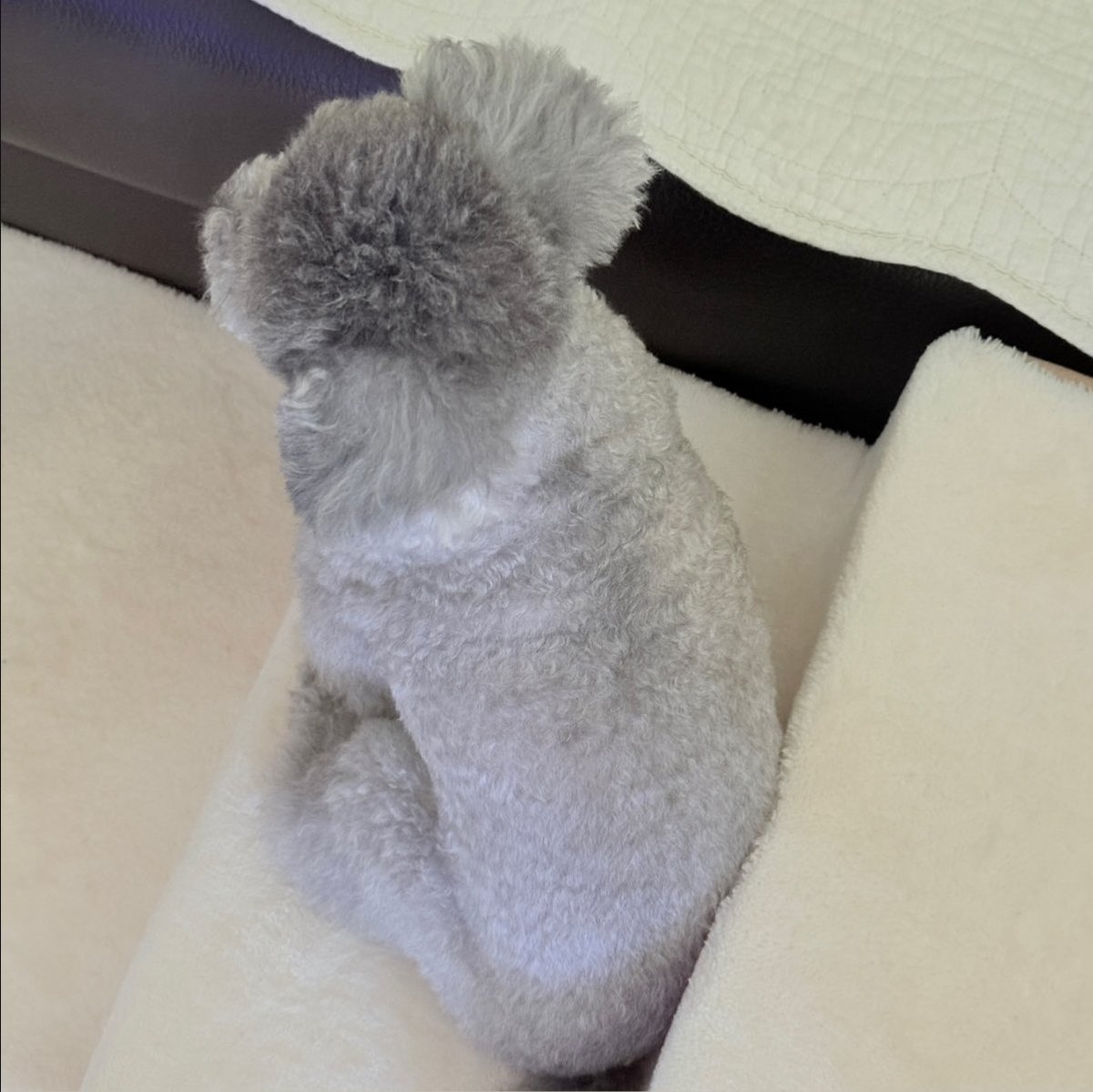 hourly_zero's tweet image. ZERO UPDATE