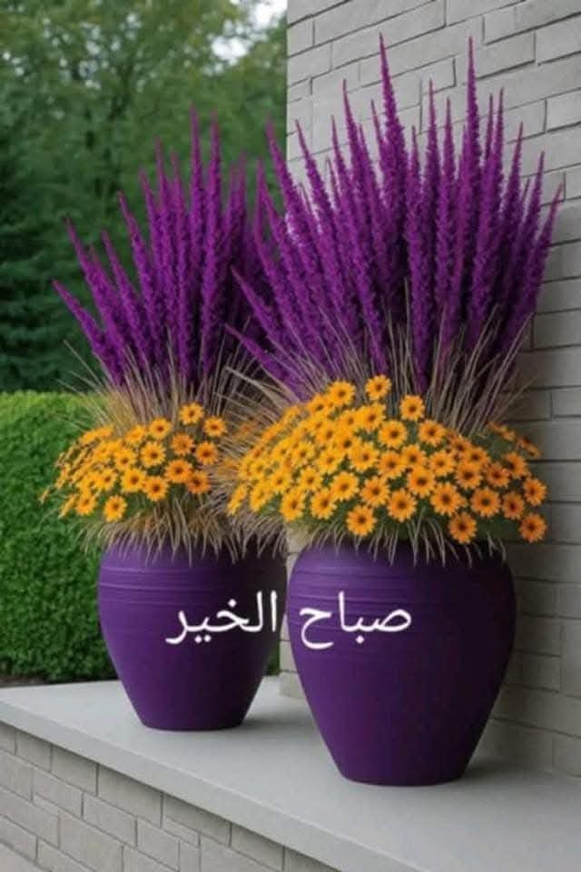 mrlmry152905's tweet photo. وبعّض الرسآئل تكفينا
     وَ إن كآنت فآرِغة 
      كأن أحدهُم يقول لك
                أنآ أذكرك 
صباحكم جميل كجمال قلبك 
صبـــاحـات جميلــــة
لـِ أولئك الذين اعتـــــادوا على الإبتســــامة 
وَ يرسمون الفرح في كل مكان
وَ يزرعون الأمل بـِ كلمــــــــاتهم 

     صباح الورد والياسمين https://t.co/bM6SnJJ2c7