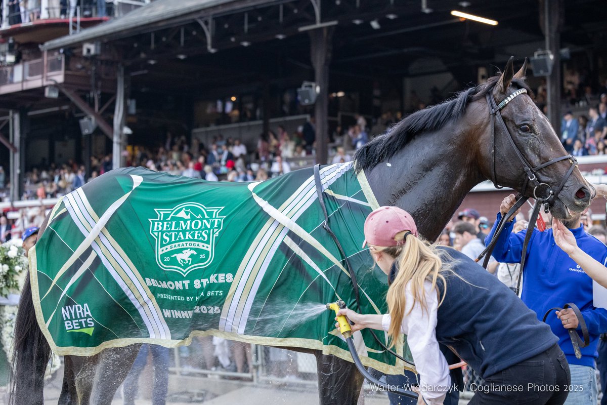 Walter Wlodarczyk (@wlodarczyk) on Twitter photo Sovereignty wins a thrilling 157th running of the <a href="/BelmontStakes/">Belmont Stakes</a>, with <a href="/JuniorandKellyA/">Junior and Kelly Alvarado</a> for Bill Mott and <a href="/godolphin/">Godolphin</a> Sovereignty wins a thrilling 157th running of the <a href="/BelmontStakes/">Belmont Stakes</a>, with <a href="/JuniorandKellyA/">Junior and Kelly Alvarado</a> for Bill Mott and <a href="/godolphin/">Godolphin</a>