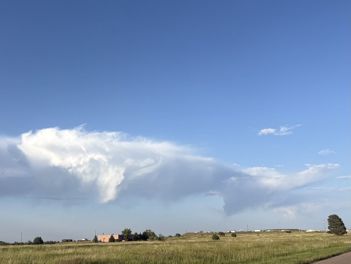 bearheart2015's tweet photo. GUYS!!!!!🤯🤩THERE WAS A WHALE IN THE SKY!!!💜🐋💜
A WHALE!!!!🥹💜🐋💜😭😭😭 https://t.co/x5AaZYfleG