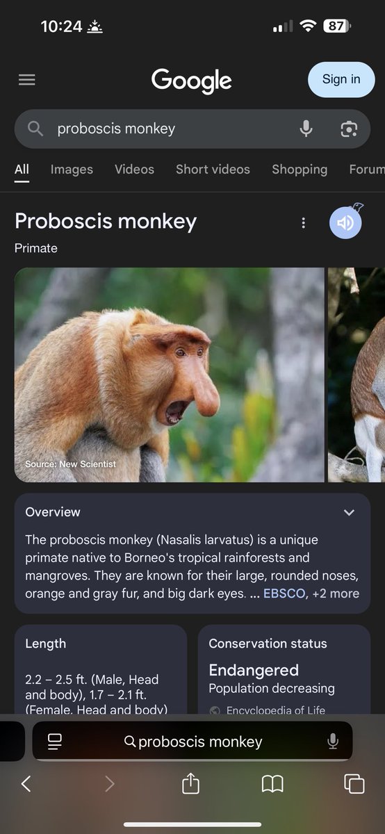  ᭥ ﹡ ᵘᵍˡʸ 𝒹♡̸̸𝘷𝘦 tweet media