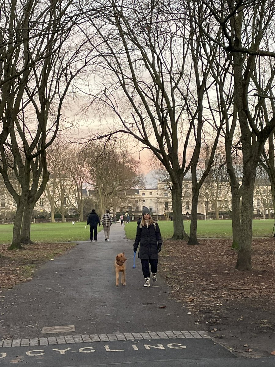 Helen Lane tweet media