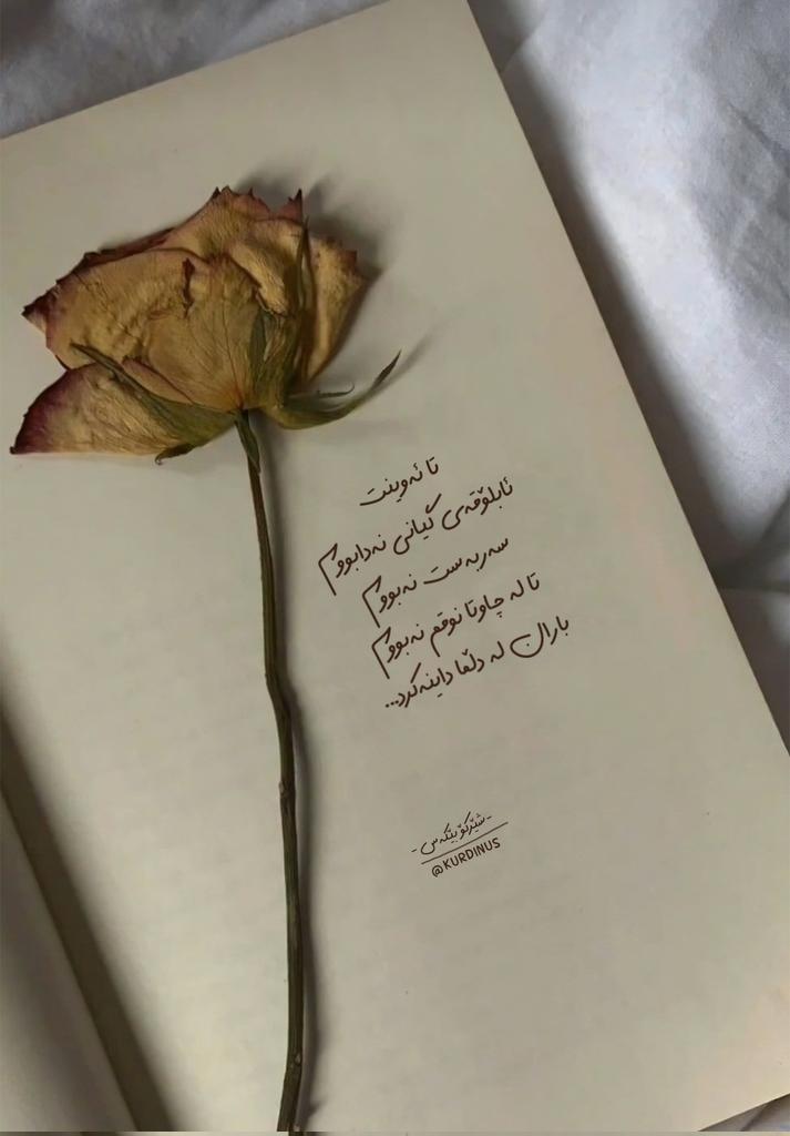 تا ئەوینت
ئابلۆقەی گیانی نەدابووم
سەربەست نەبووم
تا لە چاوتا نوقم نەبووم
باران لە دڵما داینەکرد...