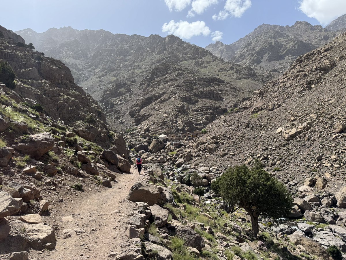 alice morrison tweet media