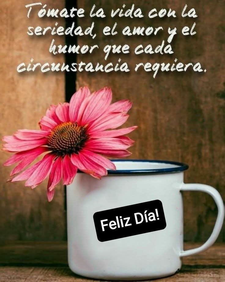 Feliz domingo para todos ☀️🤗🫂❤️💖🫶🌺👋☕️🍪🍩🍞
#BuenosDiasMundo