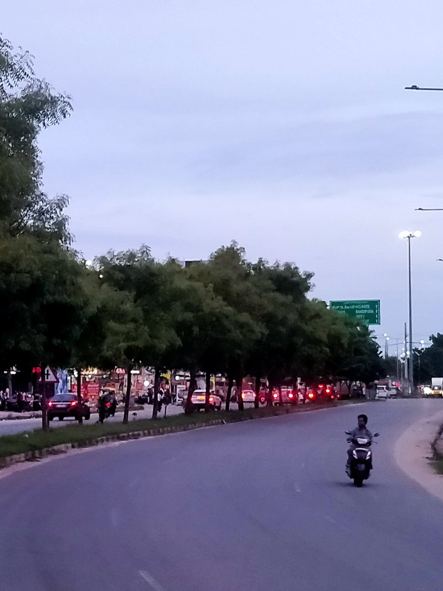 TeamMysuru's tweet photo. ಹಿನಕಲ್ ಭಾಗದಿಂದ  ಮೈಸೂರಿನ ಕಡೆಗೆ  ಬರುವವರಿಗೆ  ಓದಲು ಮರಗಳು ಅಡ್ಡ ಇವೆ , ಮರದ ಕೊಂಬೆ ತೆರವುಗೊಳಿಸಿದರೂ ಓದಲು ಆಗುವುದಿಲ್ಲ ಹಾಗಾಗಿ ಮಾರ್ಗಸೂಚನಾ ಫಲಕವನ್ನ ಸೂಕ್ತ ಜಾಗಕ್ಕೆ ಸ್ಥಳಾಂತರಿಸಿ ಇಲ್ಲವಾದಲ್ಲಿ ಒಡೆದ ಫಲಕ ಇರುವ ಬದಲು ತೆರವುಗೊಳಿಸಬೇಕಾಗಿ ಮನವಿ.
@mepratap @TSSrivathsa
@MCCComm_Mys  @KannadaPrabha 
@mysurucitycorp https://t.co/ytU6l6rx6m