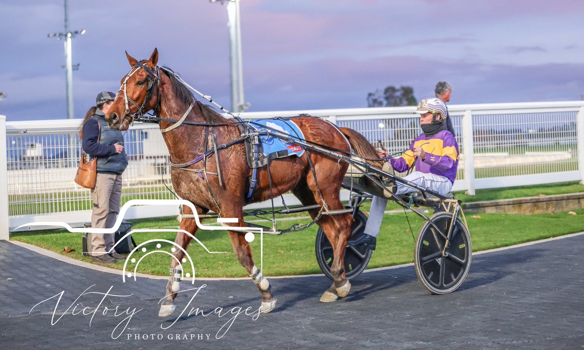 Race 1 - LADBROKES QUICK MULTI TWO YEAR OLD 

MORIKAWA / Rohan Hillier