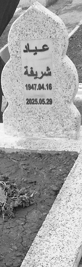 Nadia BENAMARA tweet media