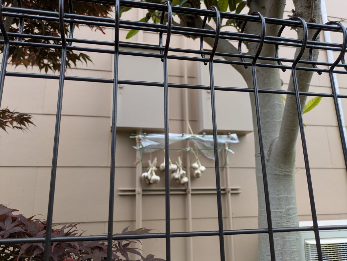 How Japanese homes keep vampires from entering through the electric lines.