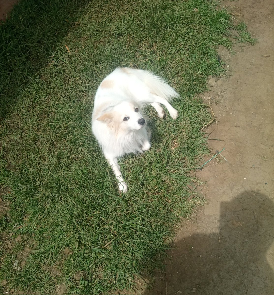 Nataka dem ataniangalia ivi😂