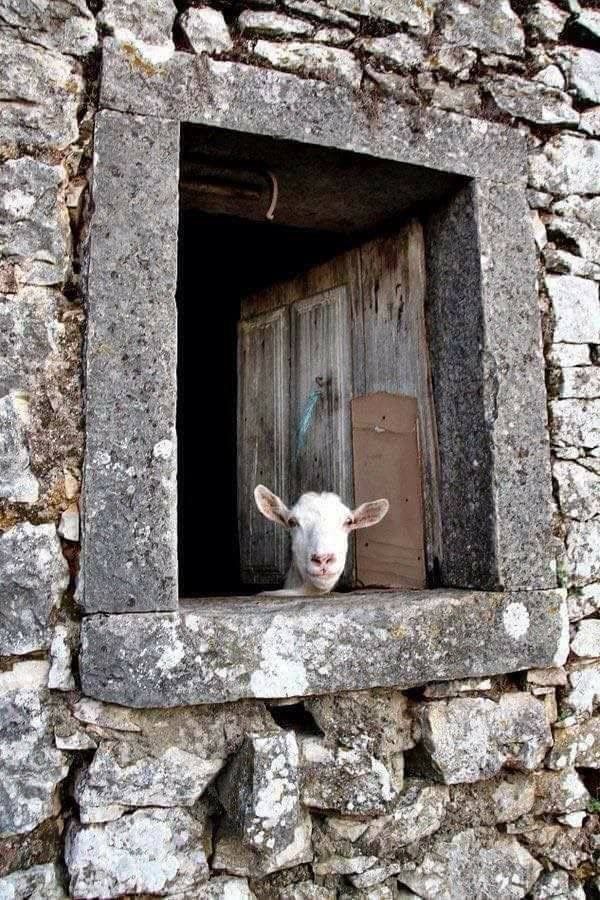 uncondition your view 
to see the truth