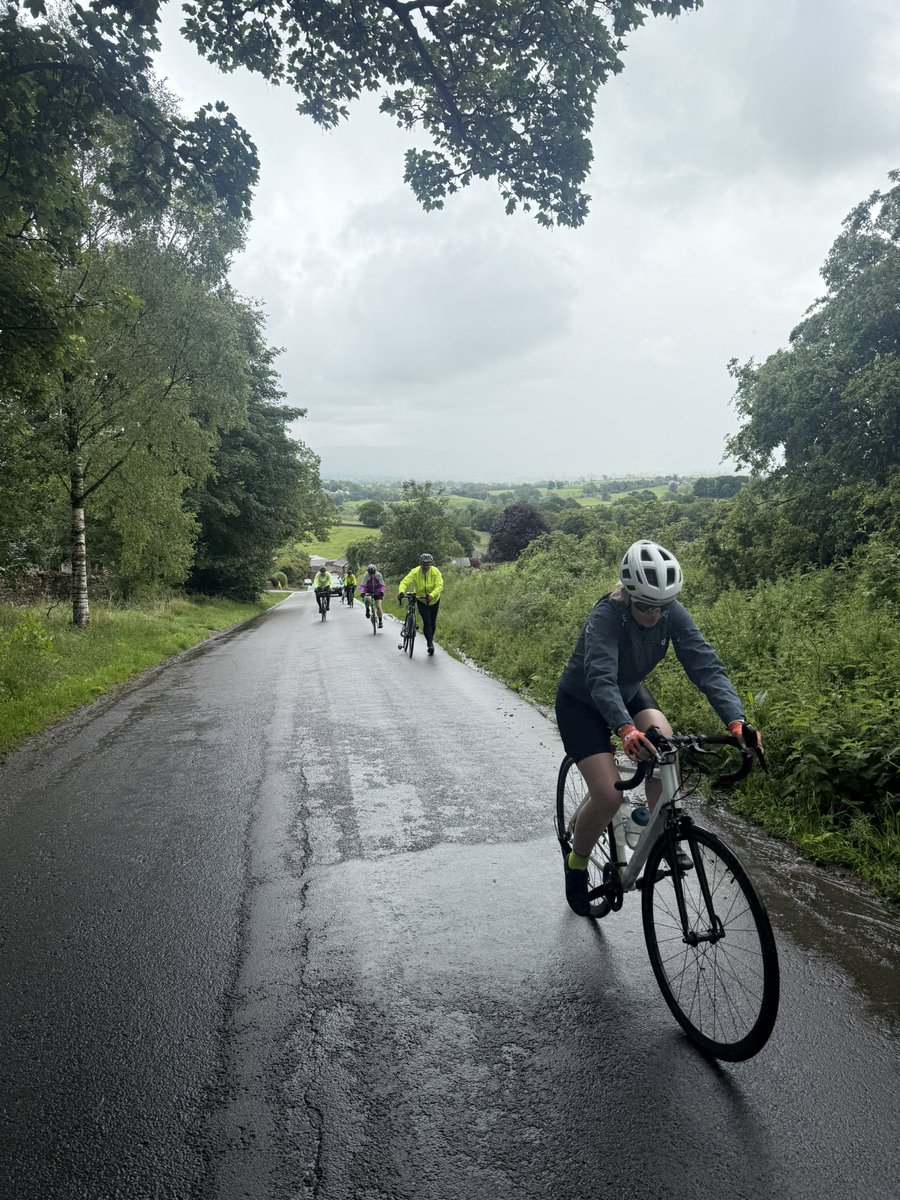 Steven Alton tweet media