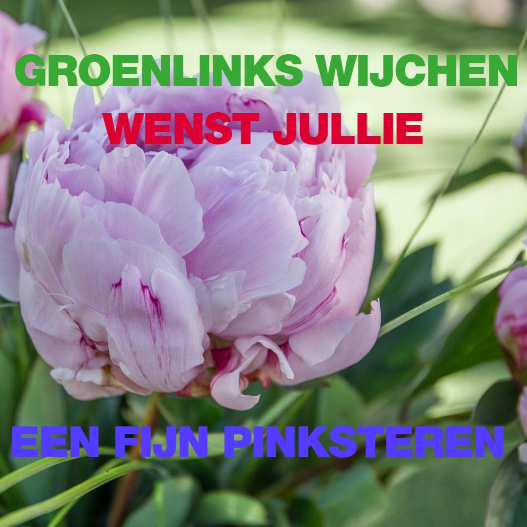 GroenLinks Wijchen tweet media