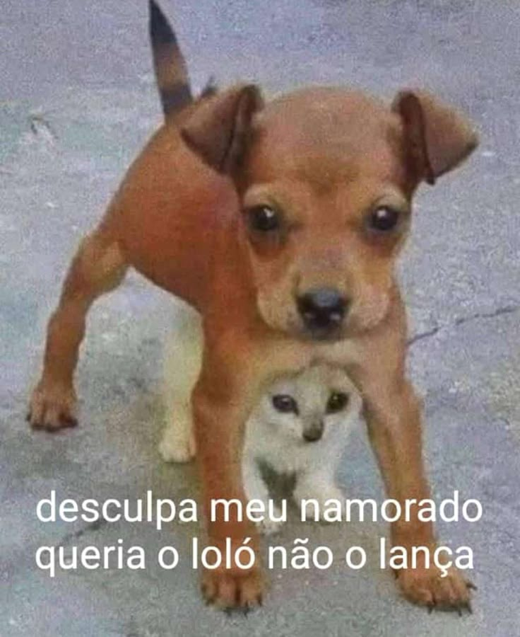 odeiootaco's tweet photo. https://t.co/19a2wvUlld