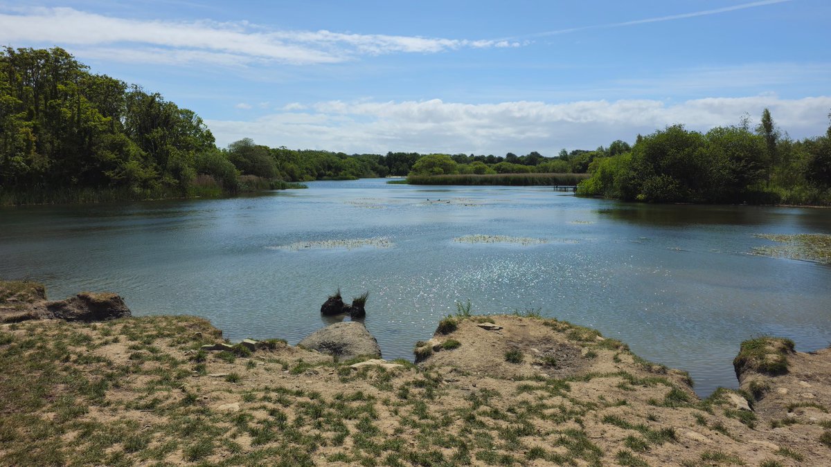Last Sunday the Cardiff Diabetes Research Group took part in the <a href="/BT1DUK/">Breakthrough T1D UK</a> one walk cymru at Cosmeston Lakes. We had a great time, got to talk to people about research 🔬 and met many inspiring people! We also managed to avoid the rain ☀️ ! Plus we raised ~£400 for <a href="/BT1DUK/">Breakthrough T1D UK</a>