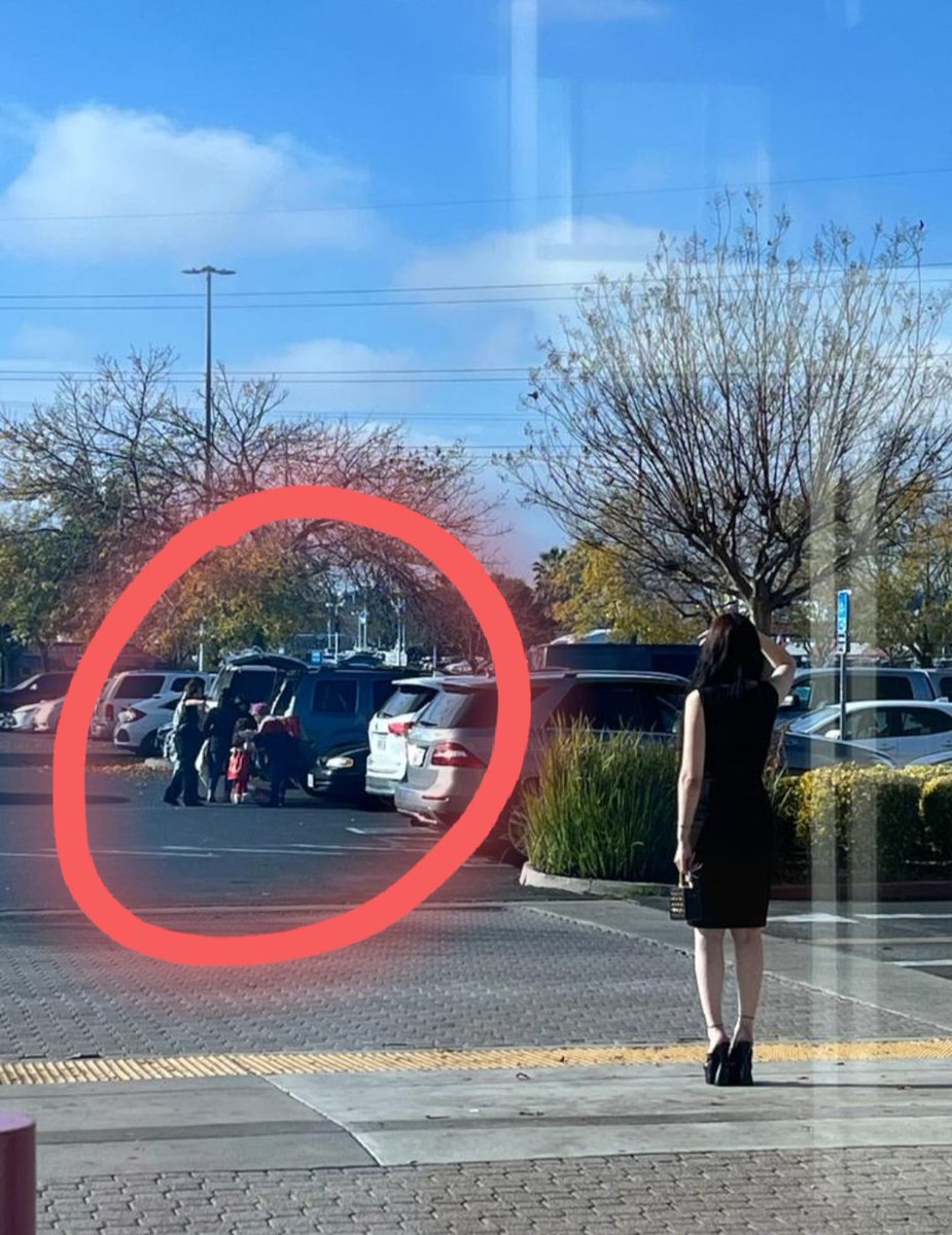 FengforCongress tweet media