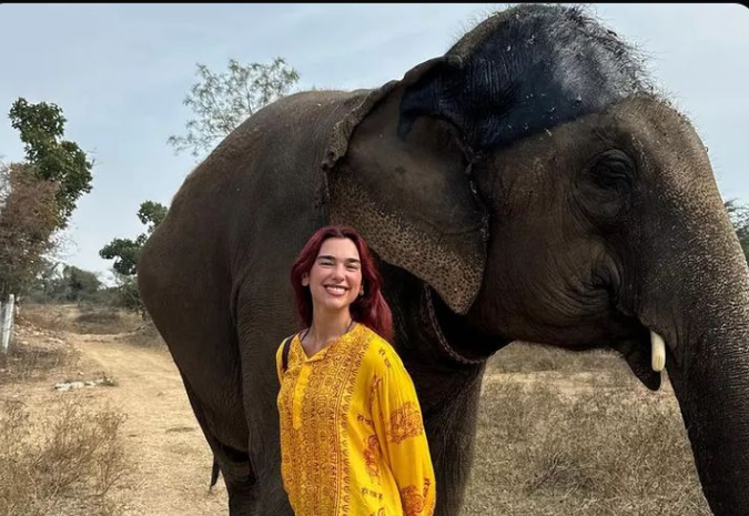 <a href="/Its_Badshah/">BADSHAH</a> Dua lipa and Badshah