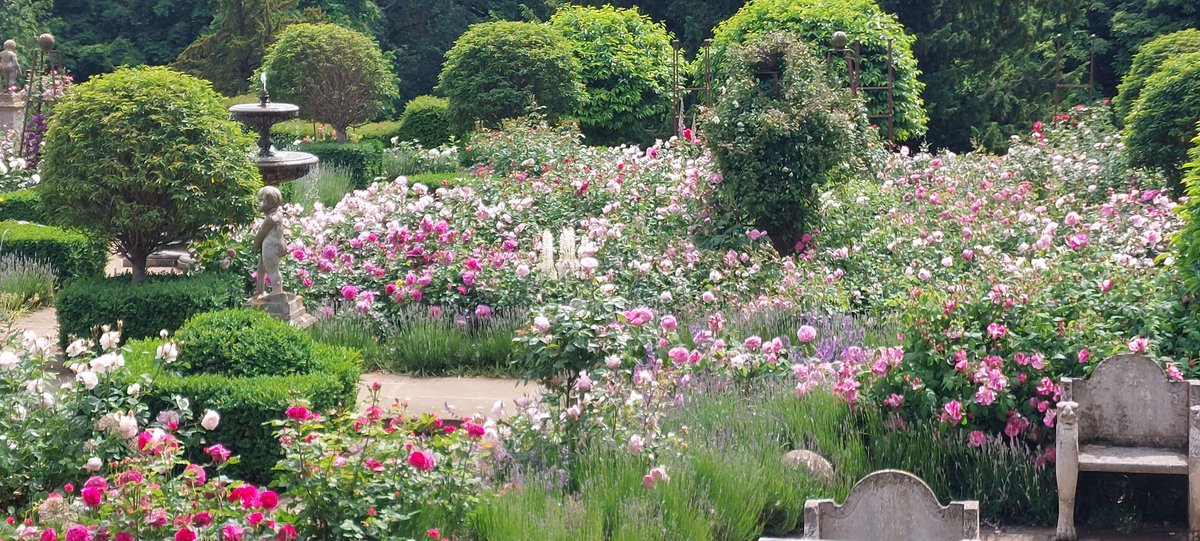 Andy Tudbury MCIHort tweet media