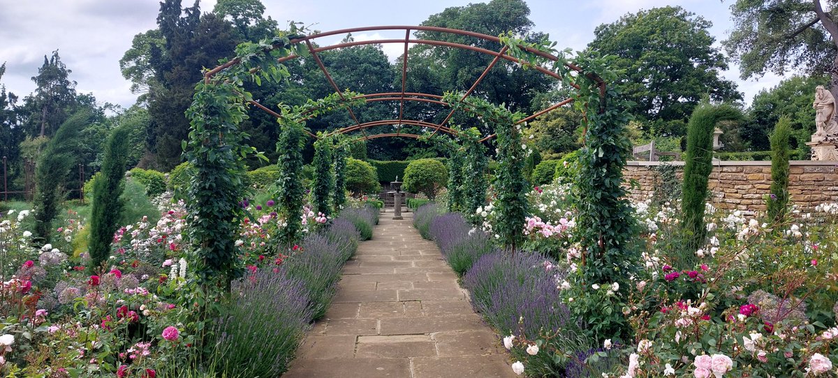 Andy Tudbury MCIHort tweet media