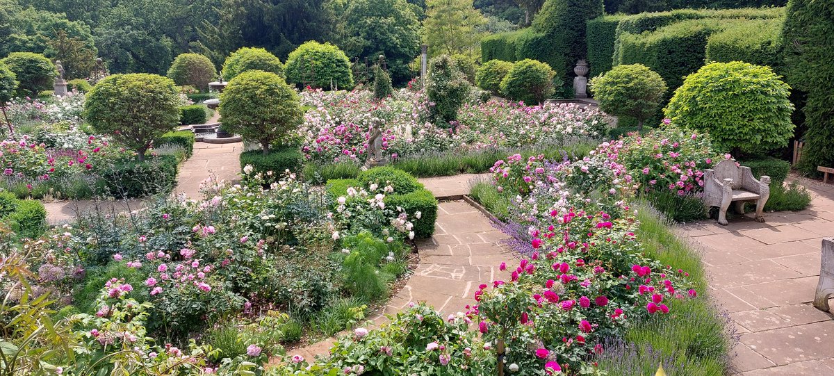 The rose garden <a href="/BelvoirCastle/">Belvoir Castle</a>  is putting on a great display again this year. All the hard work over Winter by the team is paying off !
<a href="/DAustinRoses/">David Austin Roses</a>