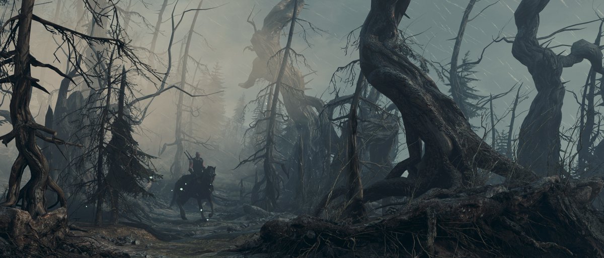 ma_moonshadow's tweet photo. The Witcher 3

#thewitcher3 https://t.co/wAz2M6dv7W
