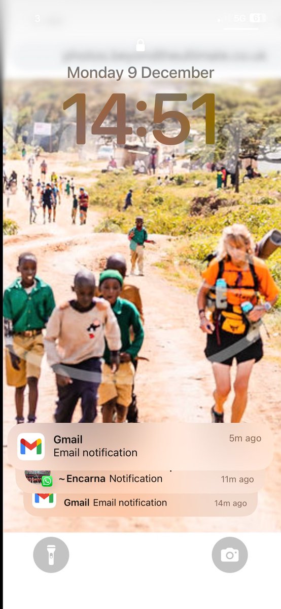 Helen Lane tweet media