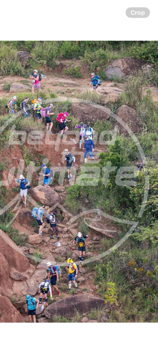 Helen Lane tweet media