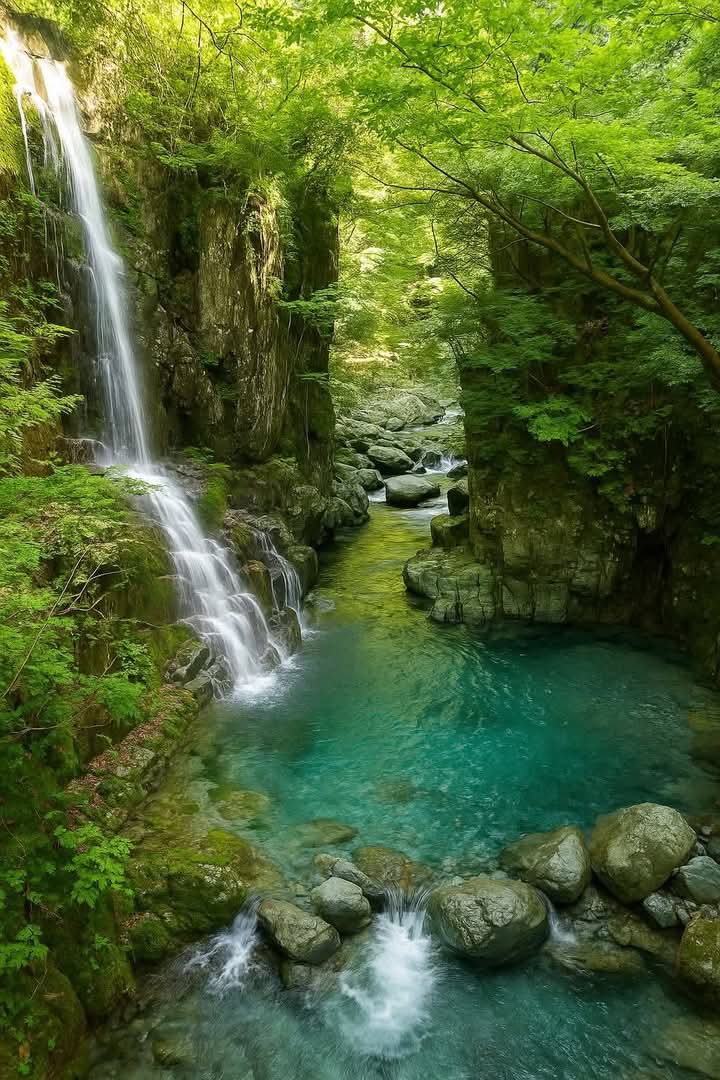 Mysterious Earth (@naturalble91542) on Twitter photo 