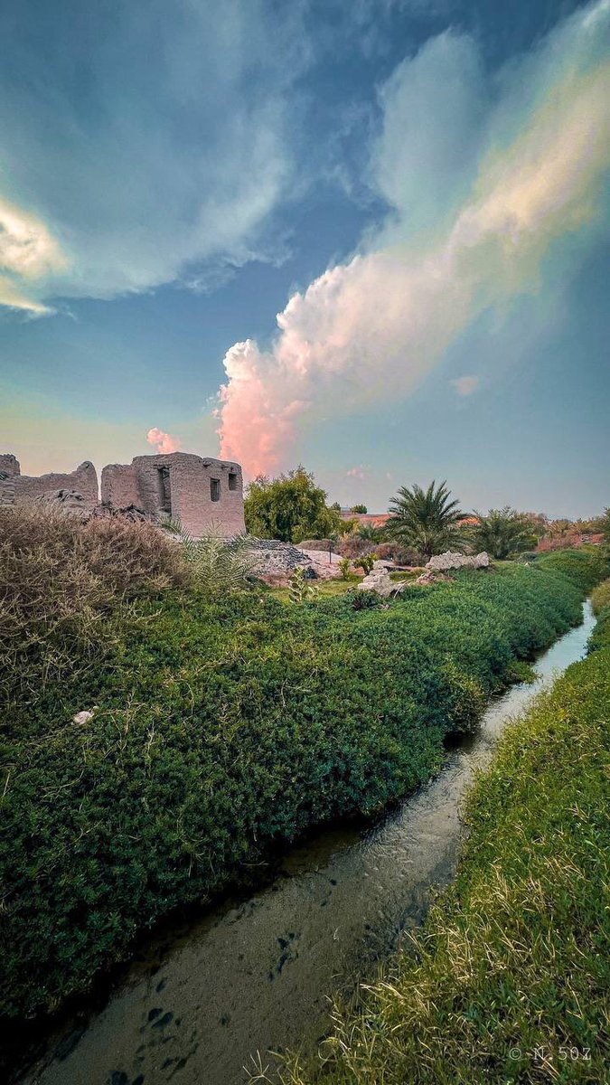 xxm2013's tweet photo. صباح الخير https://t.co/ayFtCnn9Tv