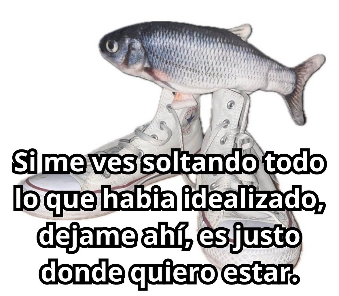 conoloracigarro's tweet photo. https://t.co/DvGlgEatjm