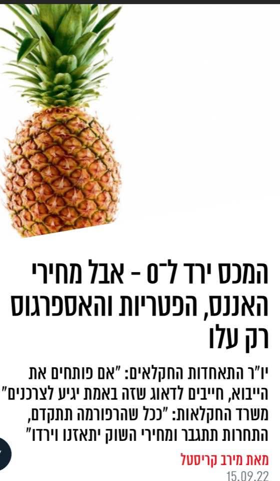 uri metuki tweet media