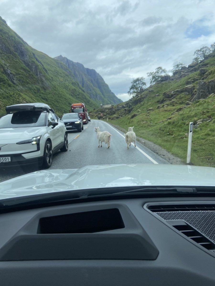 Mark Rowe tweet media