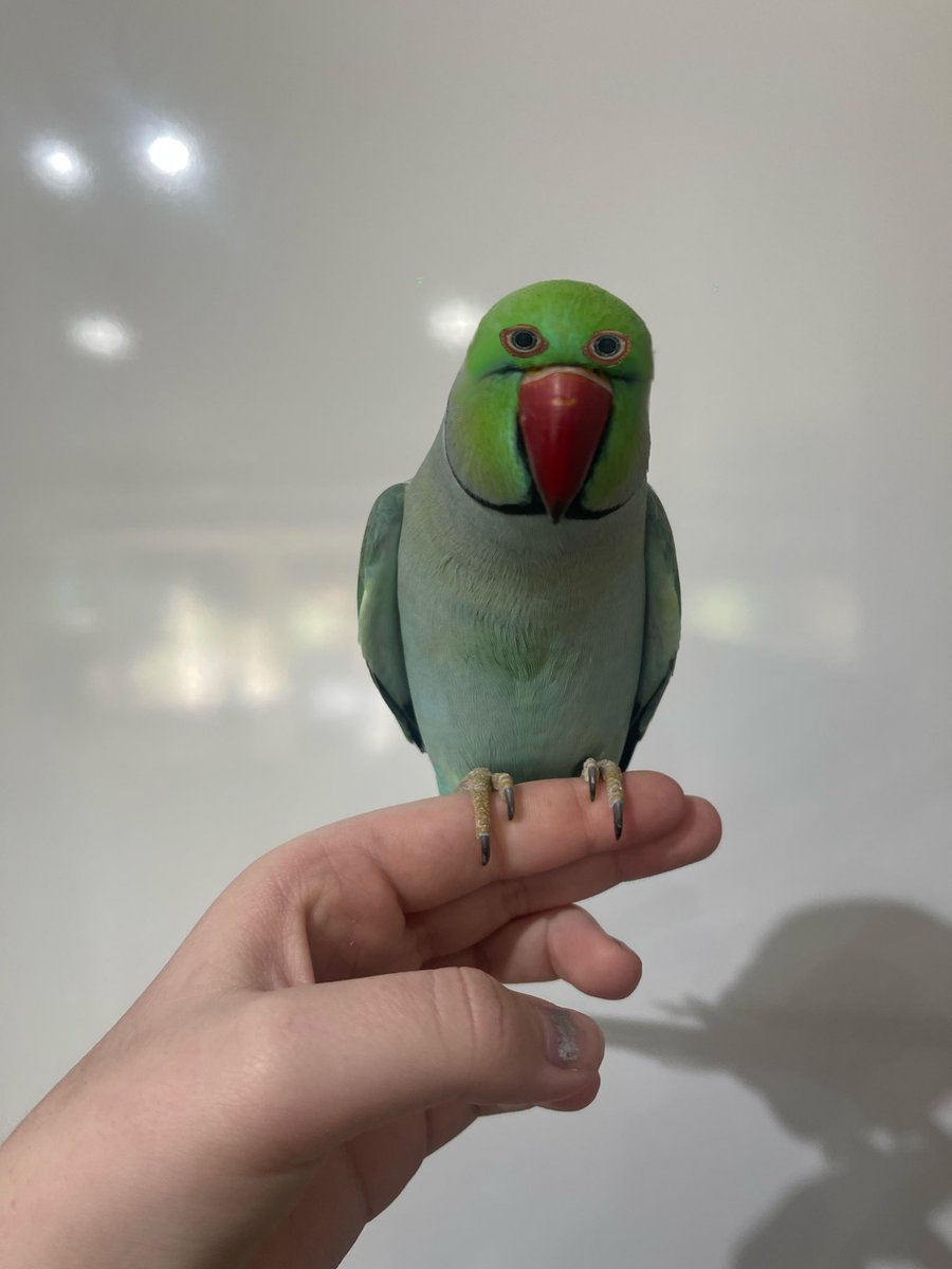 jayden |-/🦆(‘S A STAR!) tweet media