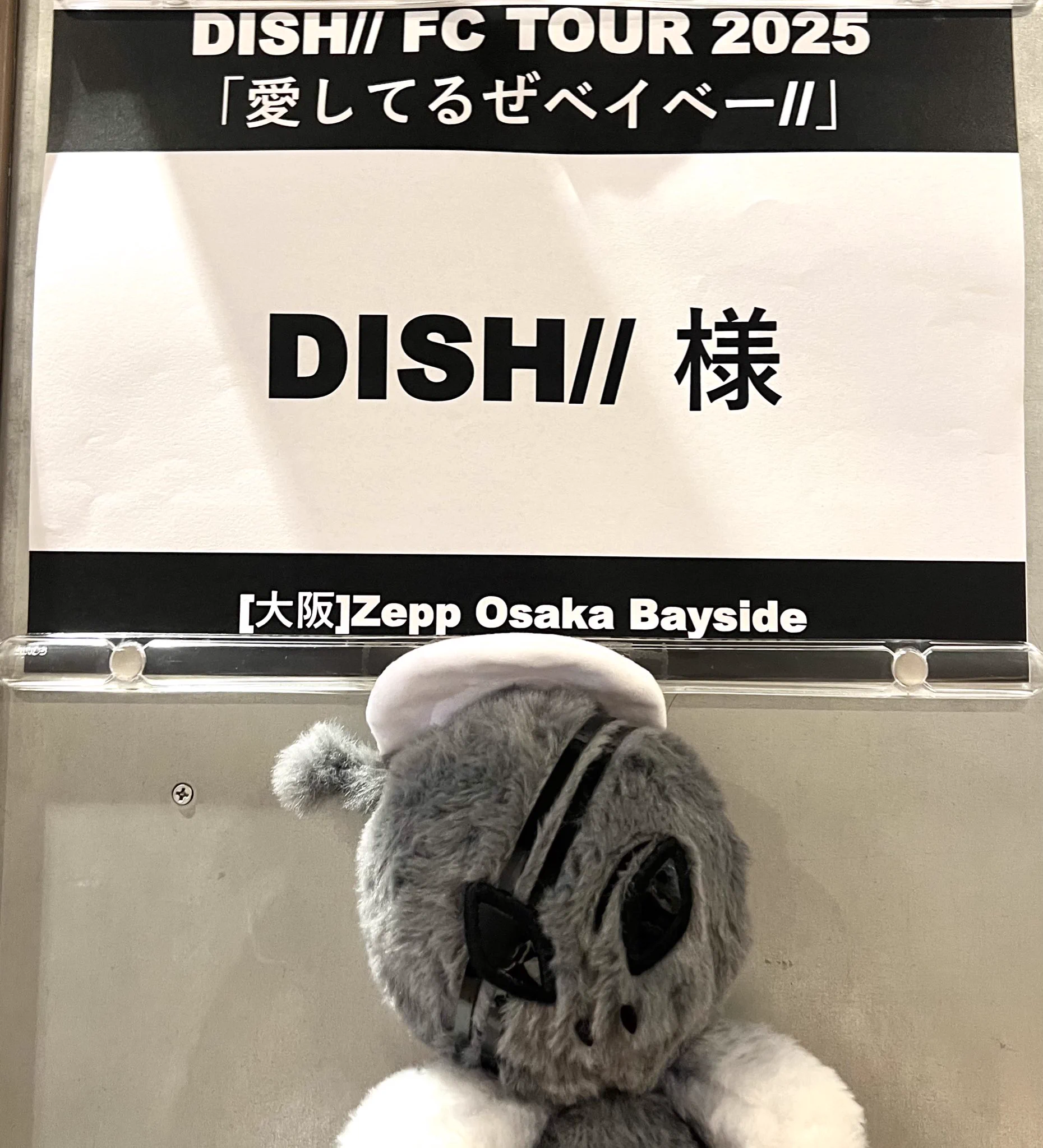 DISH// OFFICIAL on X: 