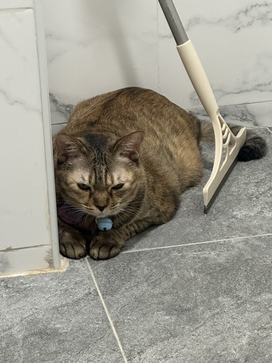 เล็กมากกกกก แอบจนมองไม่เห็นเลยจ้า😆