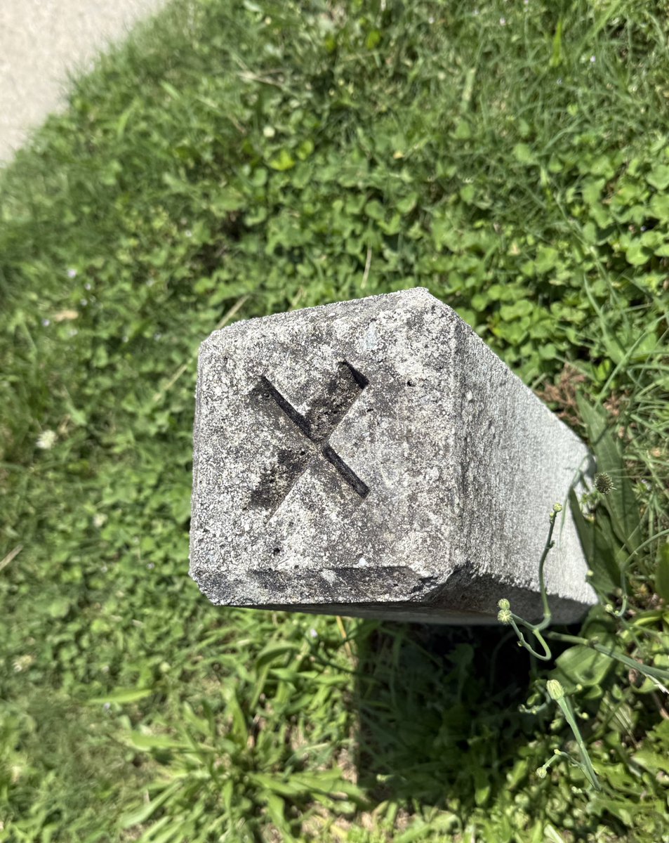 Vincent Vittorio tweet media