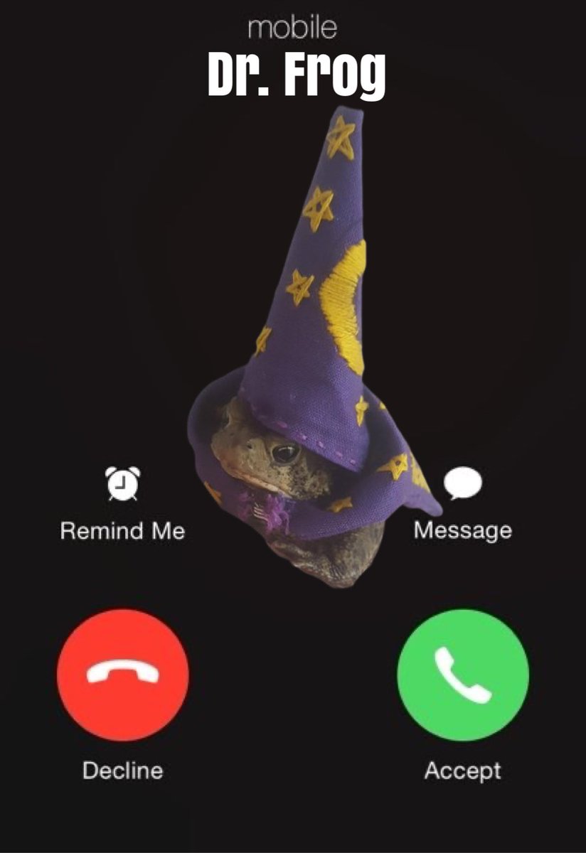 Do you accept my call?