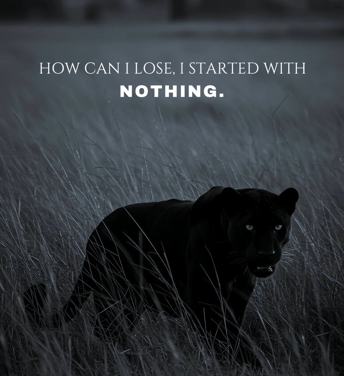 I'm a man. I'm not a loser.