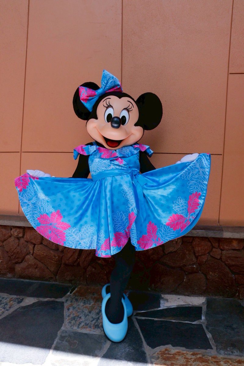 wdw2014's tweet photo. マカヒキでは絶対ミニーに会いたいってリクエスト🎵偶然なのか必然なのか💦グーフィーは最近諸事情でマカヒキには出ないっぽいですね。 https://t.co/zDF9MjMYLW