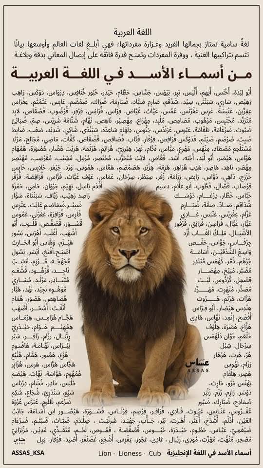 أسماء الأسد في اللغة العربية/ فقه اللغة 
t.me/ayman0789459028