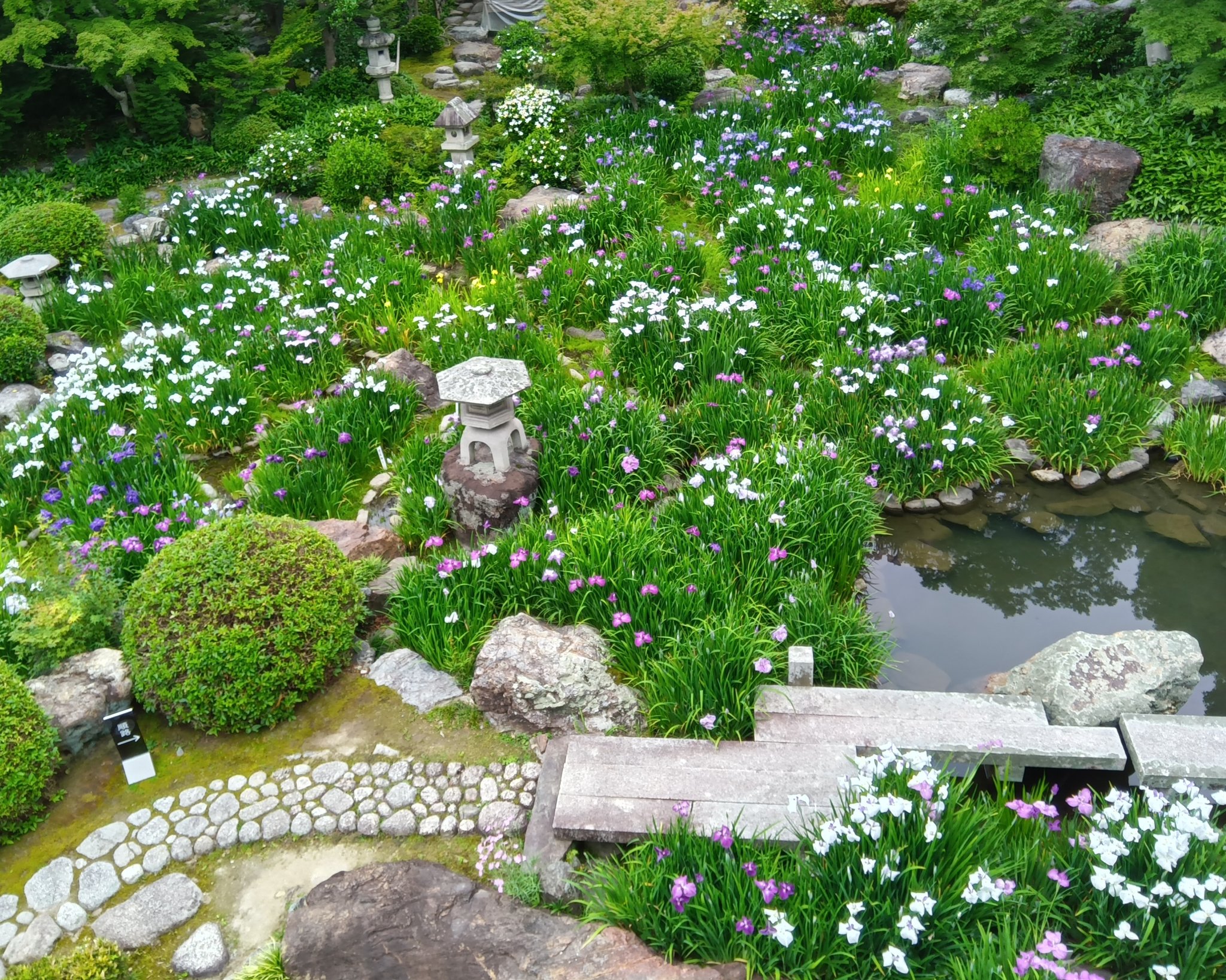 花入　景徳鎮　薄型 Hasui 巴水: Winter Moon over Toyama Plain 戸山ヶ原 (Sold